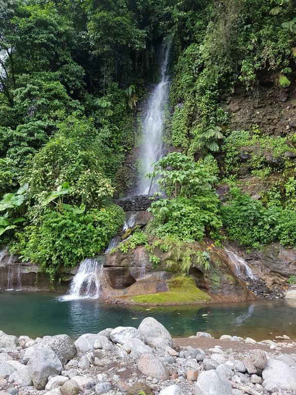 Hostel Orozco - Costa Rica Rio Cuarto Экстерьер фото