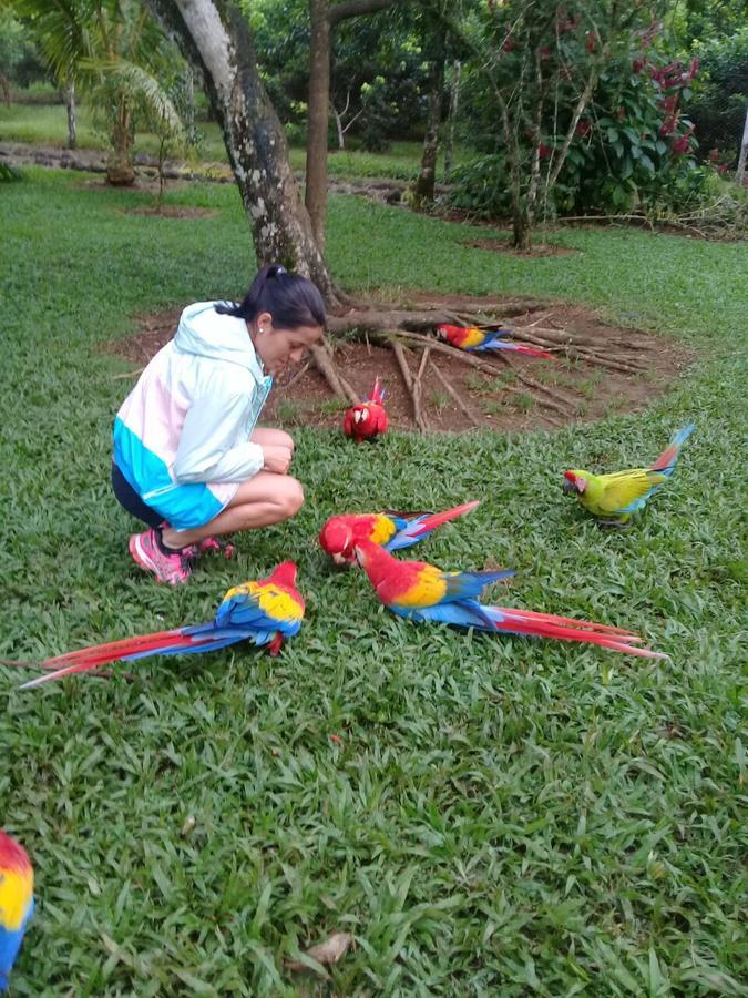Hostel Orozco - Costa Rica Rio Cuarto Экстерьер фото