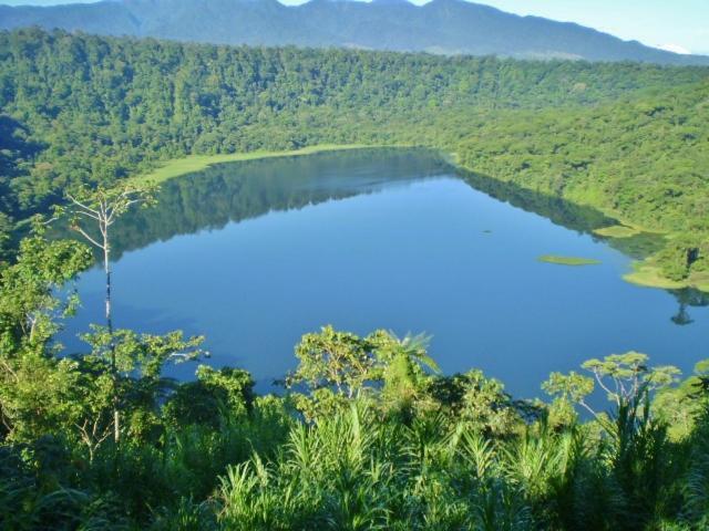 Hostel Orozco - Costa Rica Rio Cuarto Экстерьер фото