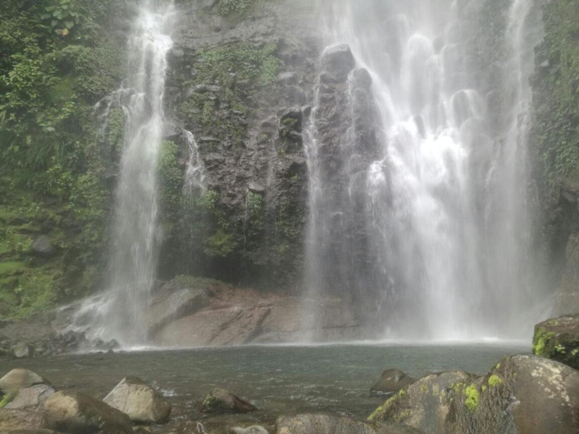 Hostel Orozco - Costa Rica Rio Cuarto Экстерьер фото